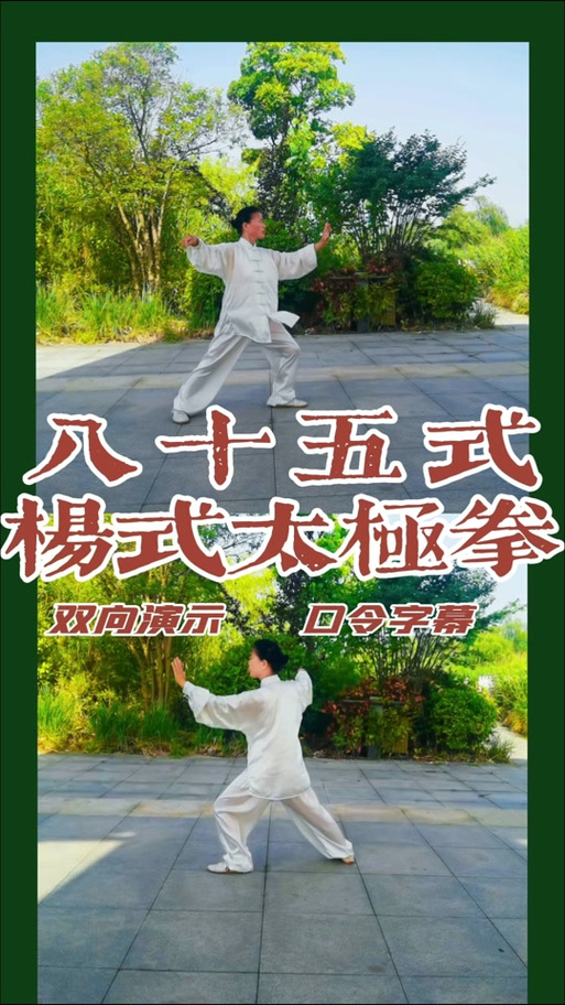 李占英85式太极拳全套演练