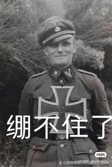 德国表情包二战图标