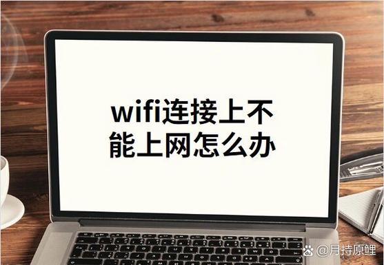 wifi连接无法上网