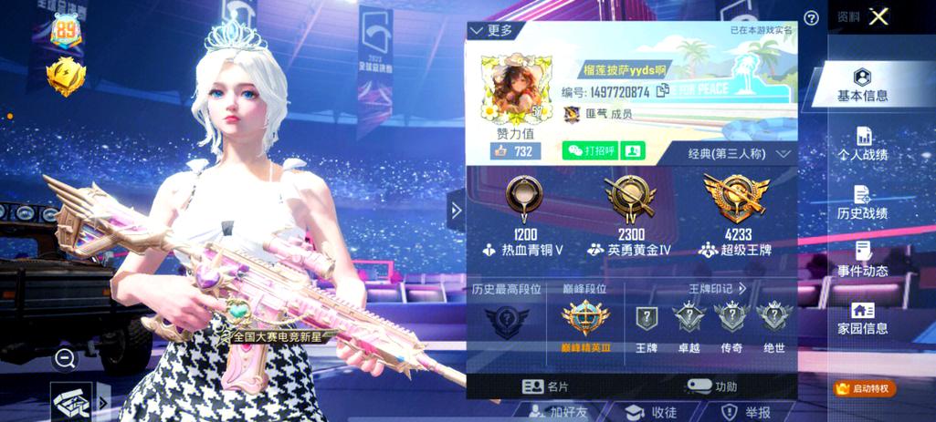 和平精英v10