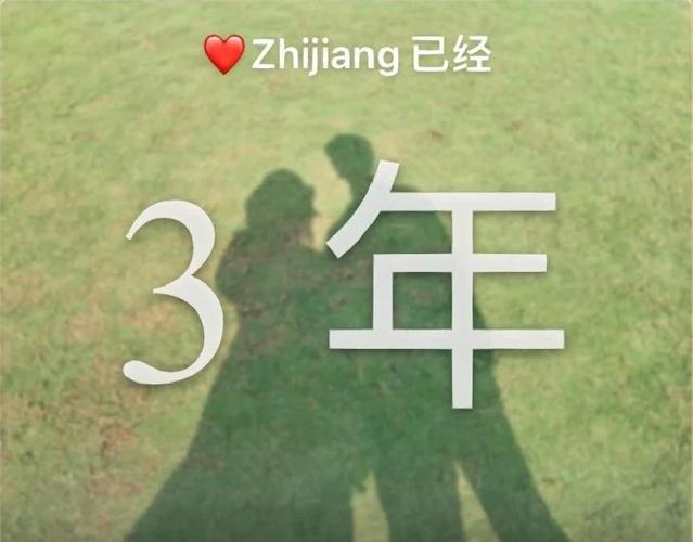 《两年半》在线观看免费电脑版官网游戏截图
