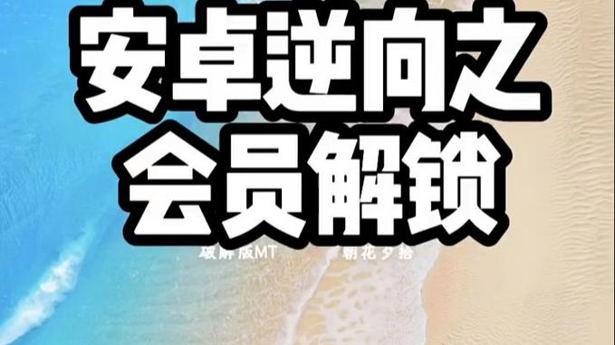 mt管理器破解VIP教程免谷歌汉化版游戏截图