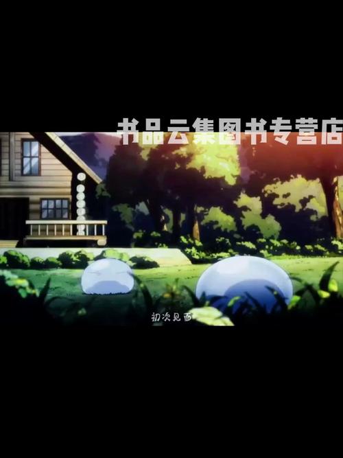 NHBooks看不了