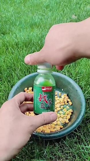 诱鱼最厉害三种饵料