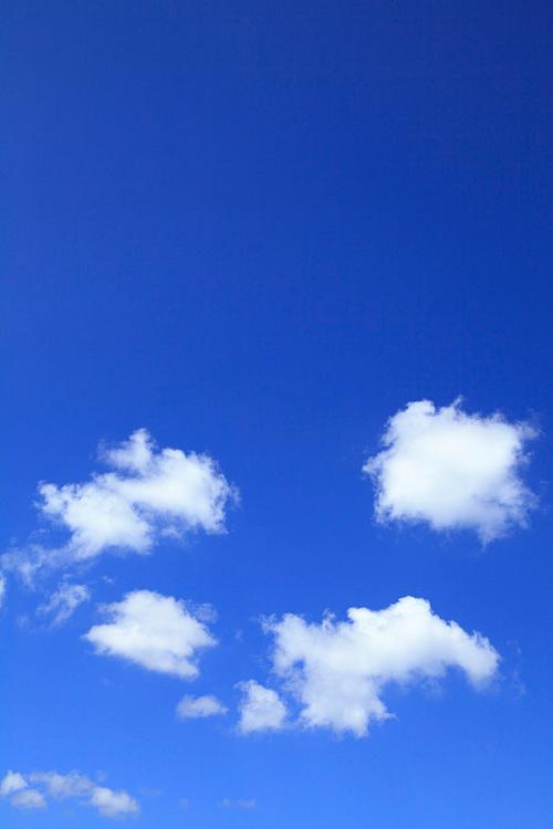 天空下载安装防走失游戏截图