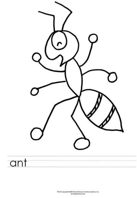 ANT代表什么