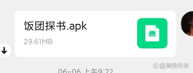 饭团探书app官网经典版无广告游戏截图