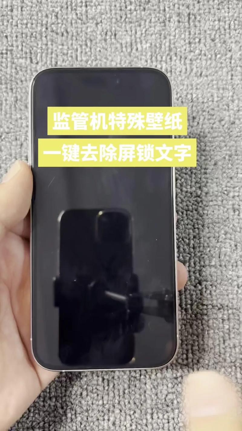 东东专用解手机监管锁软件