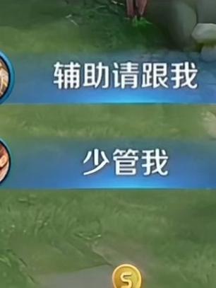 王者什么叫打辅助