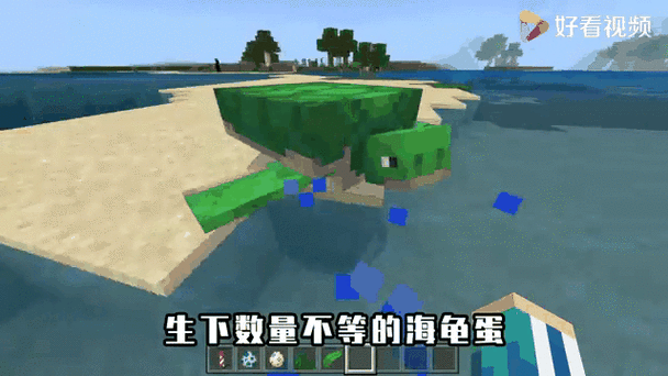 我的世界海龟壳作用