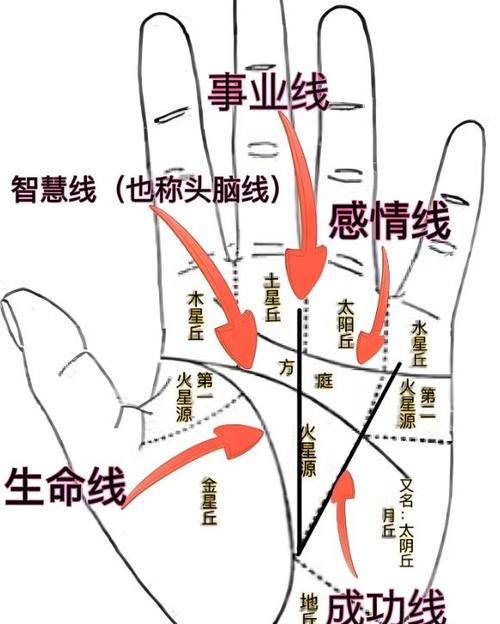 手掌十字纹多代表什么