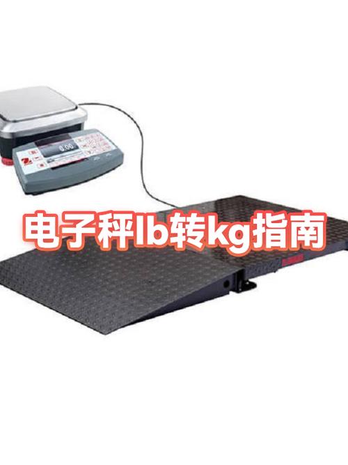 十大公认品牌电子秤