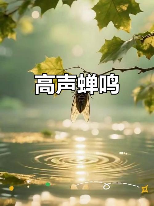 蝉鸣录音.mp3