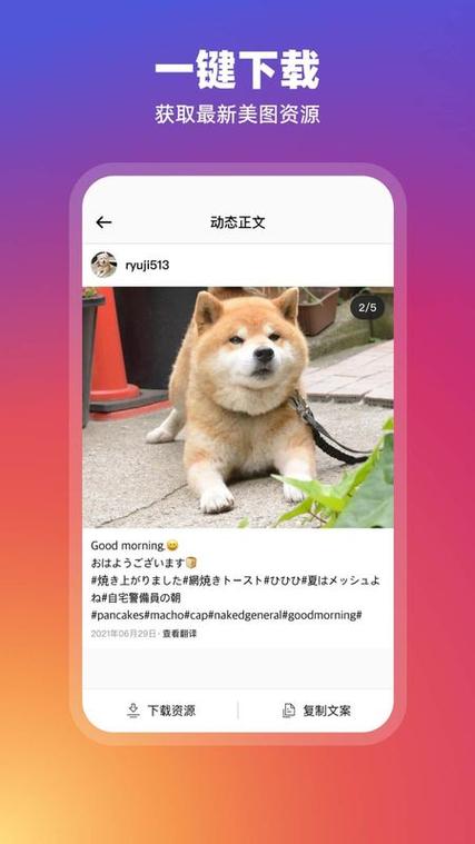 Instagram安卓最新版提现版游戏截图