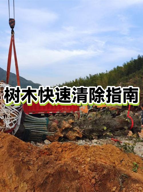 刮树皮最快的方法