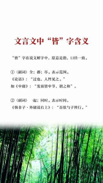 皆什么意思