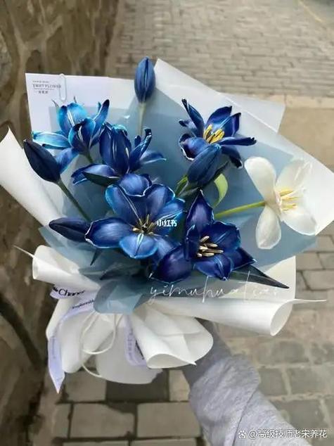 blued免费下载安装最新版游戏截图