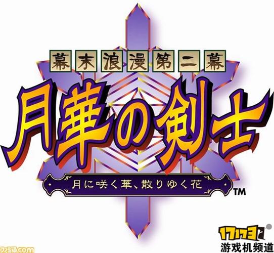 月华之剑士