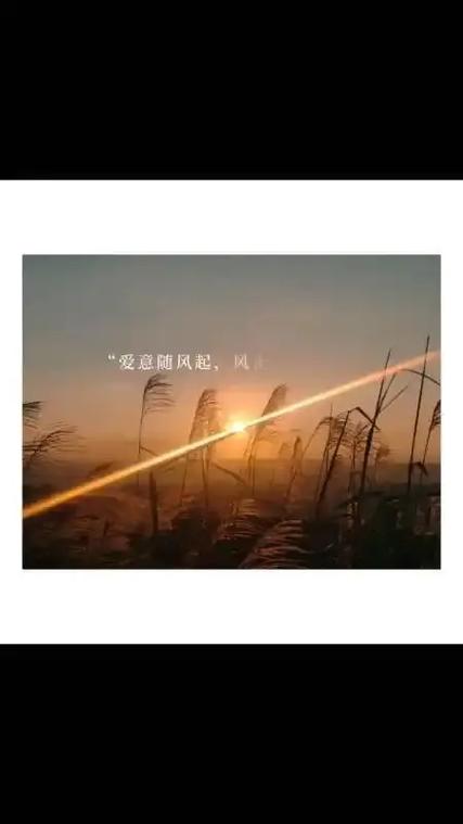 《爱意随风起.风止意难平》无广告安装游戏截图