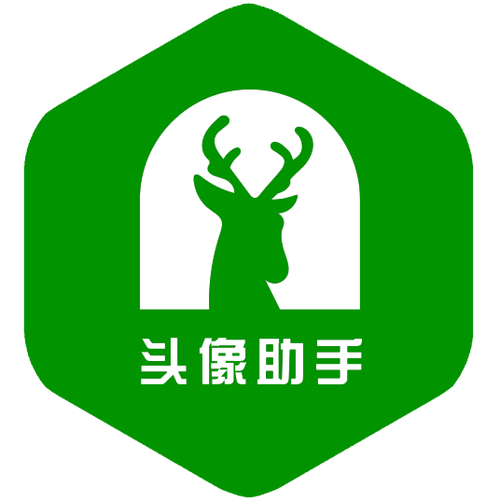大头像功能设置
