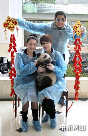 电视剧熊猫影视导剪版游戏截图