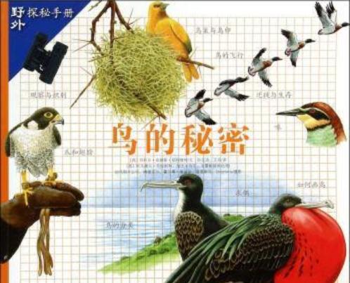 拿走小鸟母鸟会伤心吗