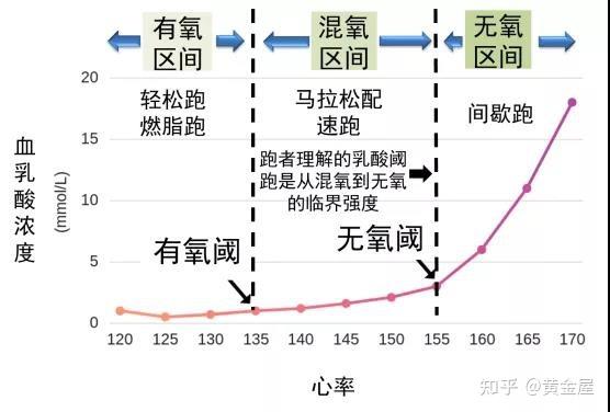 无氧和有氧哪个抗衰老