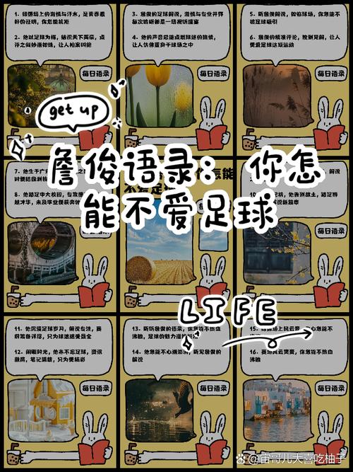 球球语聊官网