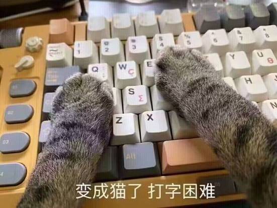 刺猬猫作者中心在线阅读游戏截图
