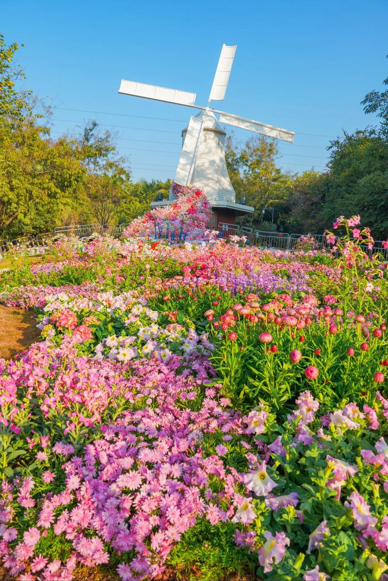 快看鲜花小镇兑换码免费领取