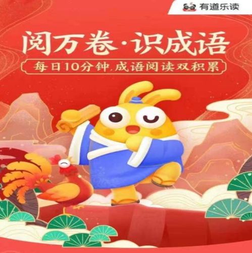 有道vip有区别么