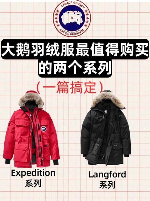 加拿大鹅为什么那么重