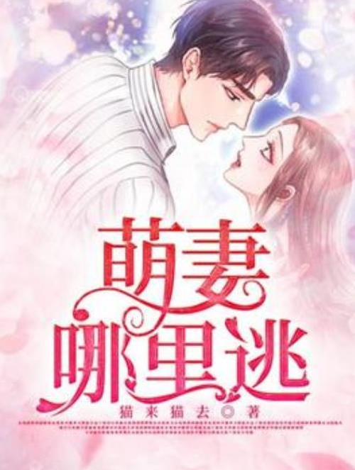 小说萌妻哪里逃全集