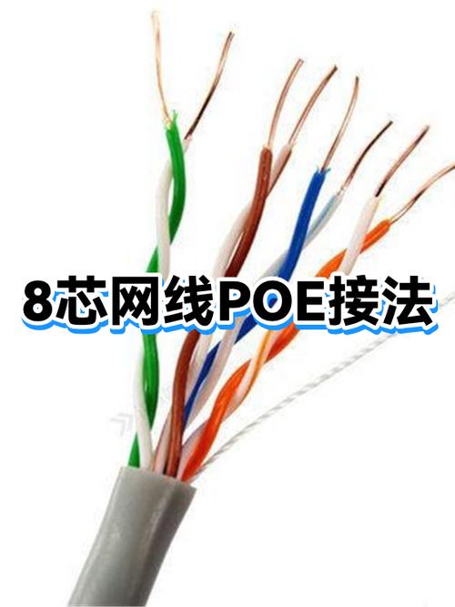 poe摄像头接线免广告版游戏截图