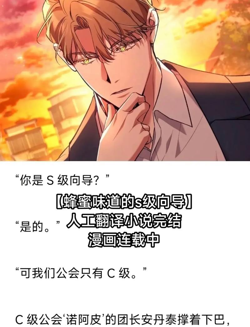 共享S级向导(n)作者:txt