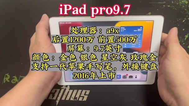 在哪里查看平板尺寸大小
