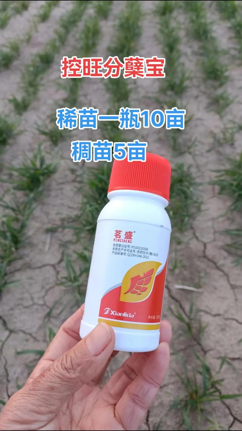 中国农资化肥查询网