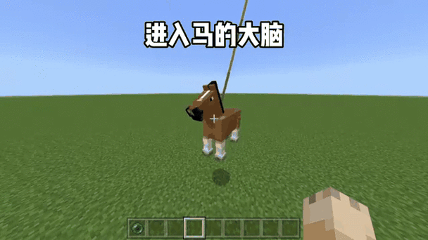 我的世界生成马的指令