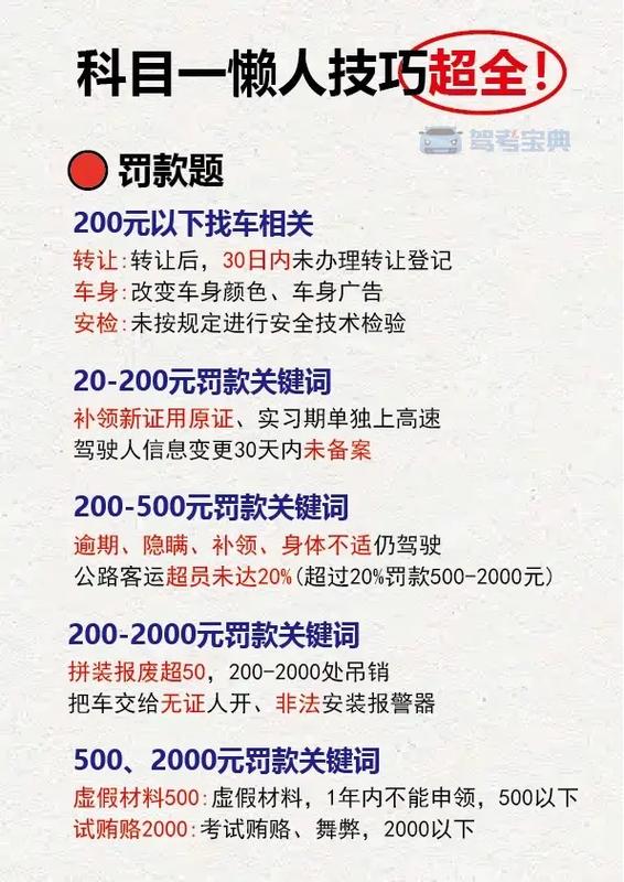 宝典驾校考试题完结版游戏截图