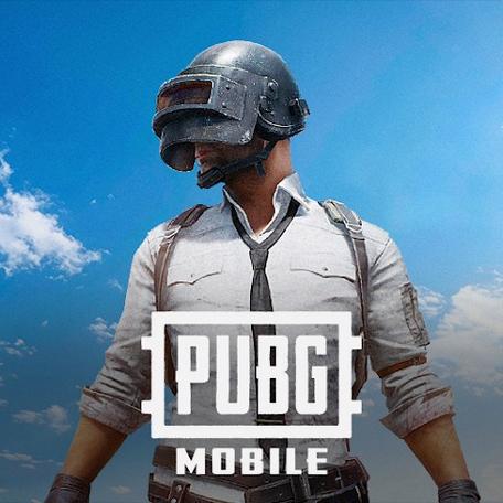 PUBG美化包永久免费版袖珍版游戏截图
