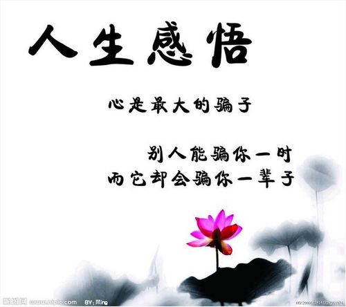 人生感言人生感悟精产国品免费老版游戏截图
