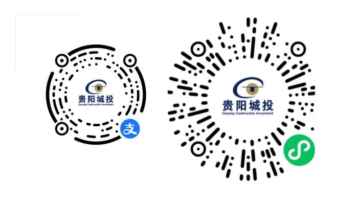 贵阳路边停车缴费app叫什么手游游戏截图