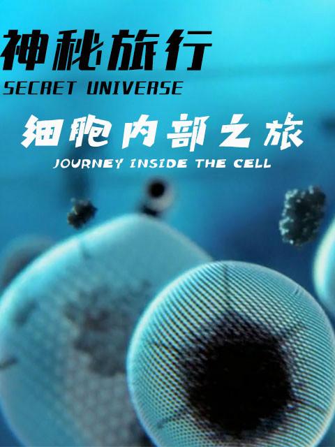 干细胞采集视频