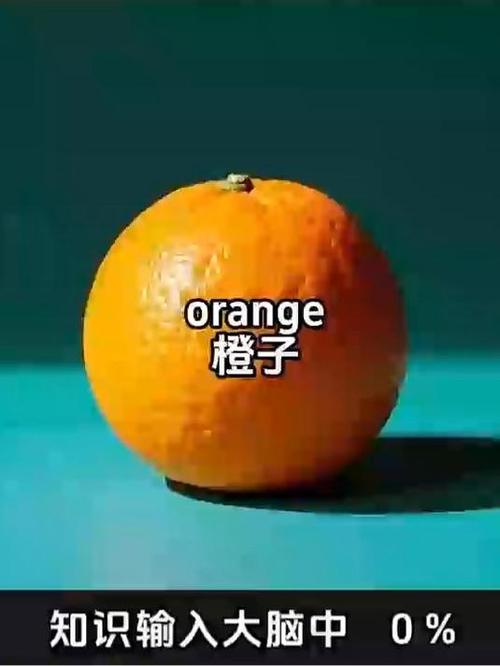 我想吃一个橙子用英语怎么说