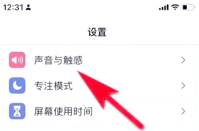 苹果手机视频效果关闭怎么打开