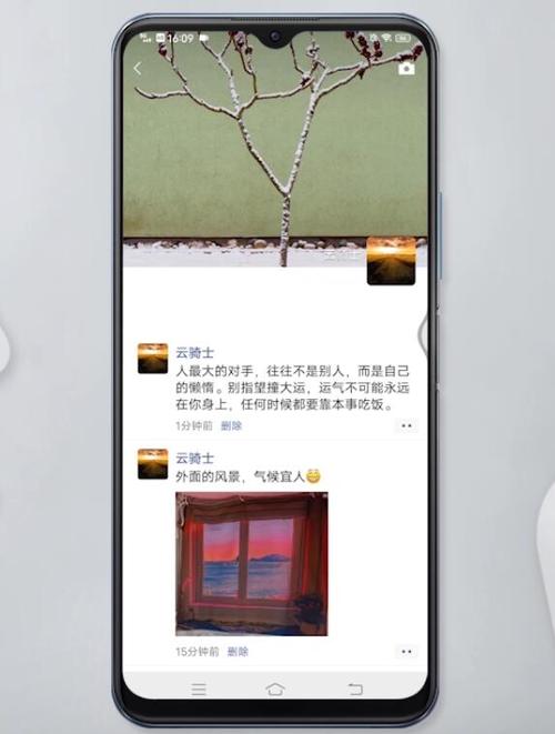 分享的朋友圈