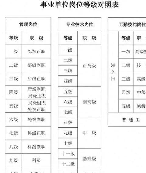 专业技术职务有哪些