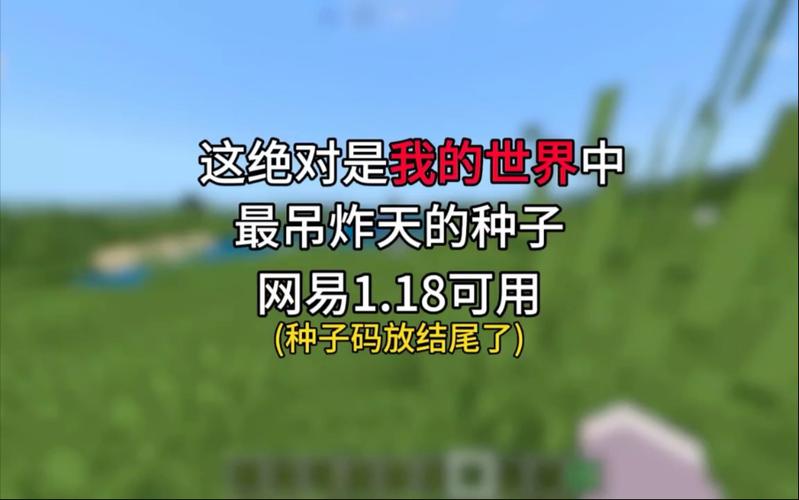 网易我的世界贝爷种子