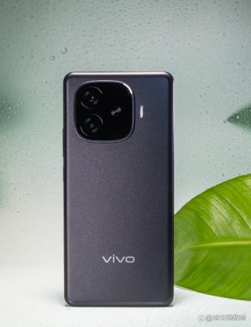 vivo手机数据备份贺岁版游戏截图