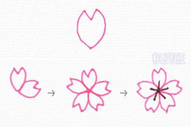樱花笔使用方法